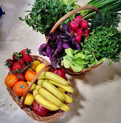 Fruits Bazar Delivery