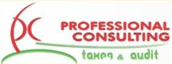 Professional Consulting 2 SRL