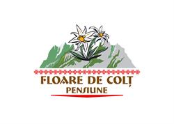 Pensiunea Floare De Colţ