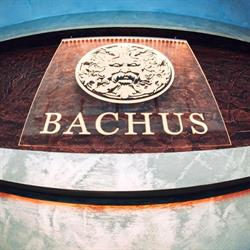 Bachus