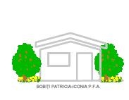 BOBIŢI PATRICIA-ICONIA PERSOANĂ FIZICĂ AUTORIZATĂ