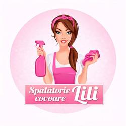 Lili Spalatorie Covoare Arad