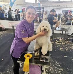 Salon Benji - Toaletaj Canin Arad