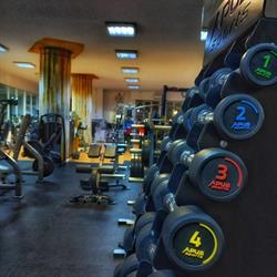 Healthy Gym