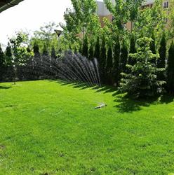 Amenajari gradini- MagicYard.ro