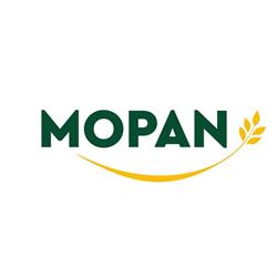 MOPAN - MAGAZIN POARTA SV - MOP217