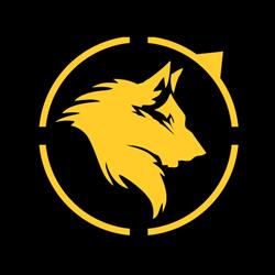 The Beast Team - Antrenamente MMA