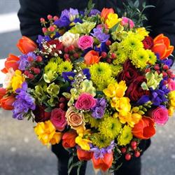 Floraria Ana