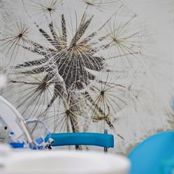 Rao Dental Studio