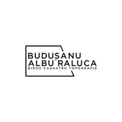 Birou Cadastru-BUDUSANU ALBU