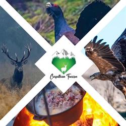 Carpathian Tourism