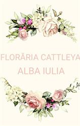 FLORĂRIA CATTLEYA ALBA IULIA