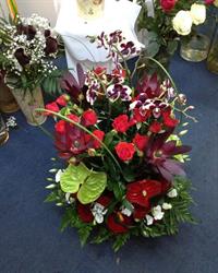 FLORARIA IMPERIAL