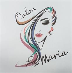 Salon infrumuseţare La Maria