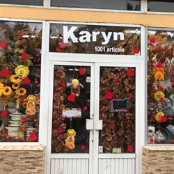 Karyn 1001 Articole