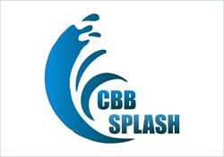 CBB SPLASH - Spalatorie Auto Margineana