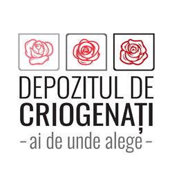 Depozitul de Criogenati (Trandafiri Criogenati En-Gros & Licheni Stabilizati Decorativi, Naturali)