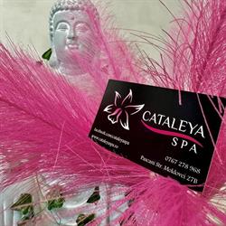 Cataleya Spa