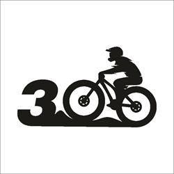 SERVICE BICICLETE BIKE 300