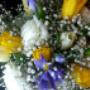 flowe