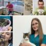 joyvet veterinar