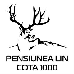 Pensiunea LIN Cota 1000