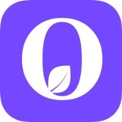 Agentie SEO - Organic Agency