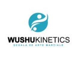 Scoala de arte martiale Wushu Kinetics