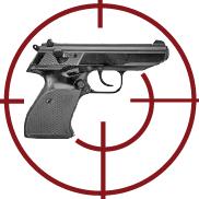 Cursuri de arme si munitii ( Arminstruct )