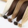 Ark salon
