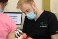 coroane-dentare