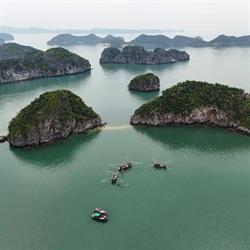 Little Hanoi
