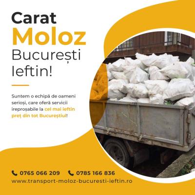Carat-moloz-Bucuresti