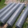 plasa gard zincata