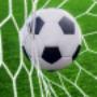 Baza date jucatori fotbal Romania