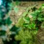 expozitie reptile bucuresti