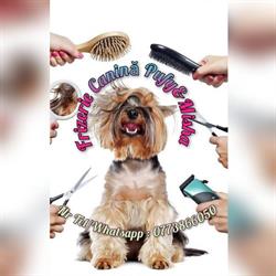 FRIZERIE CANINA PUFY&MISHA PITESTI