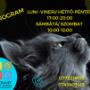 Program
