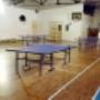 ping pong