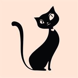 NouvelleByLuciana