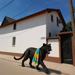 Casa Diana
