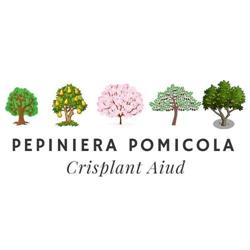 Pepiniera CRISPLANT Aiud