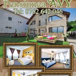 Pensiunea Avy