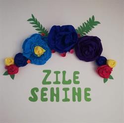 Camin de batrani Zile Senine