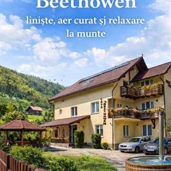 Pensiunea Casa Beethowen