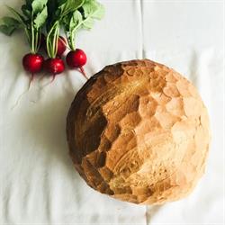Brutaria DeKriZso
