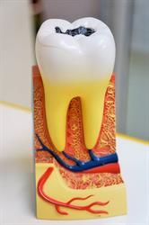 Clinica Dentara - Dr. Stamate Maria-Magdalena
