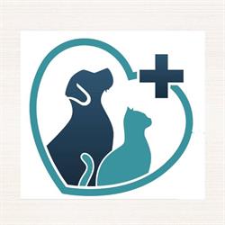 Amon Vet Care