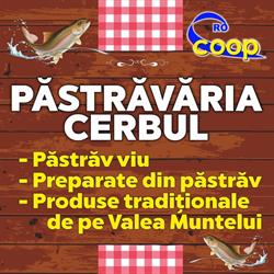 Pastravaria Cerbul