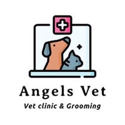 Angels VET